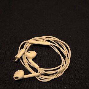 Apple Earbuds